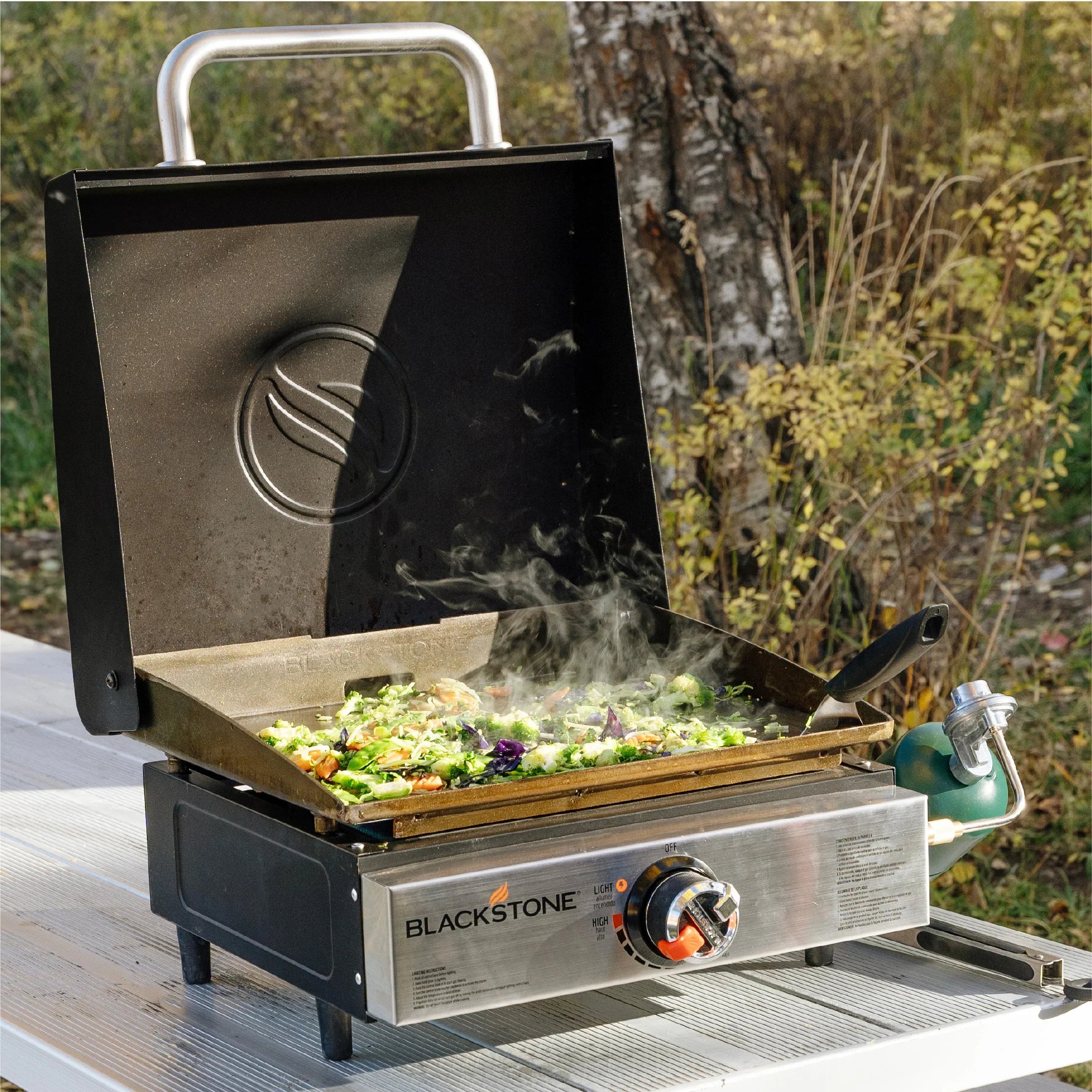 blackstone griddle outside