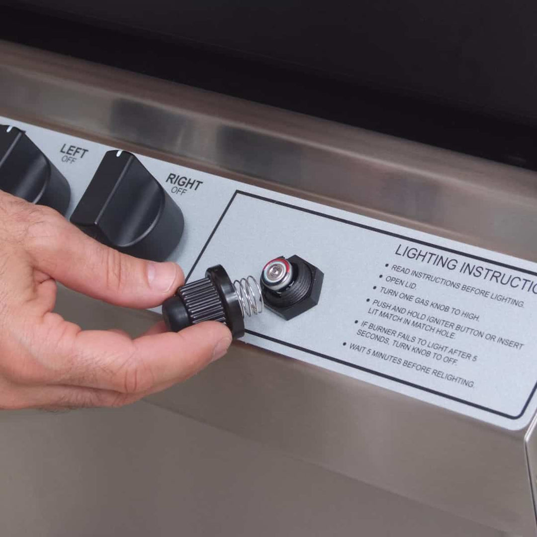 Broilmaster Premium Gas Grill with Charmaster Briquettes