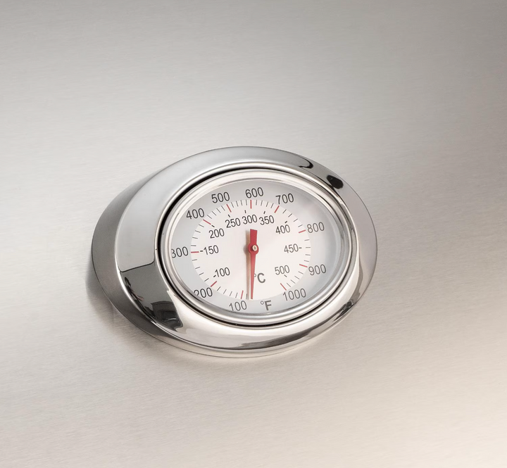 Fire Magic Aurora A430i 24" Built-In Grill with Analog Thermometer