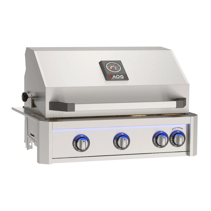 The 2026 American Outdoor Grill 24" L-Series Portable Grill