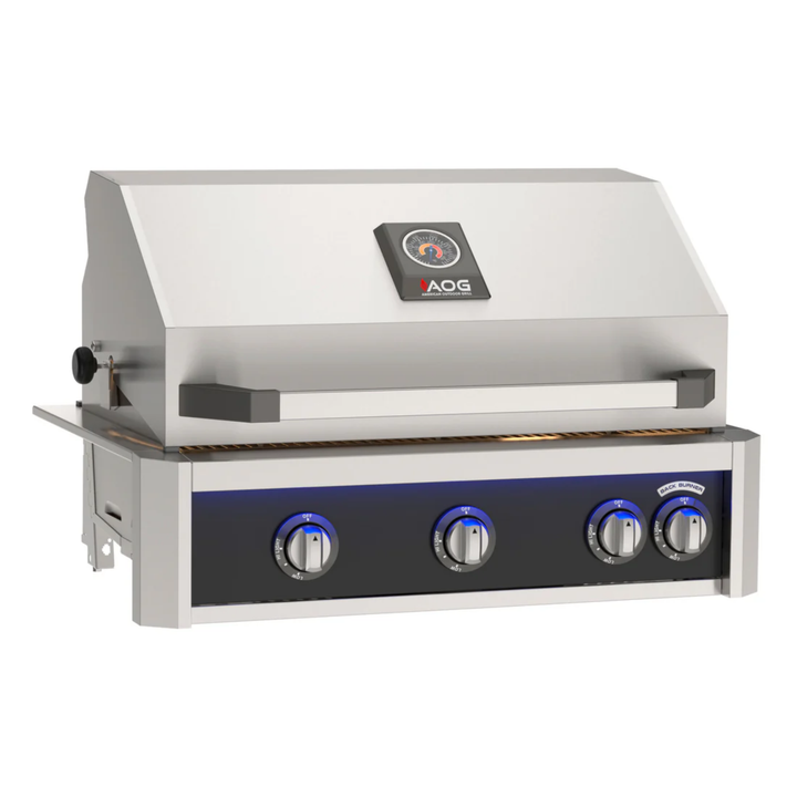 The 2026 American Outdoor Grill 24" L-Series Portable Grill