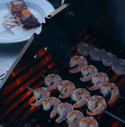 Monument Grills 'M200S' Red Gas Grill - Mesa Series, Heartbeats Edition: A compact, 2-burner, propane gas grill with bold red powder-coated finish and porcelain-coated cast iron grates for even heat distribution and easy cleaning.