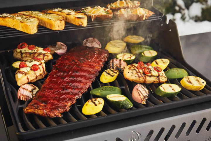 Napoleon 20" Freestyle 365 Gas Grill featuring three stainless steel burners, cast iron porcelainized cooking grids, and JETFIRE ignition for instant lighting and even heat distribution.