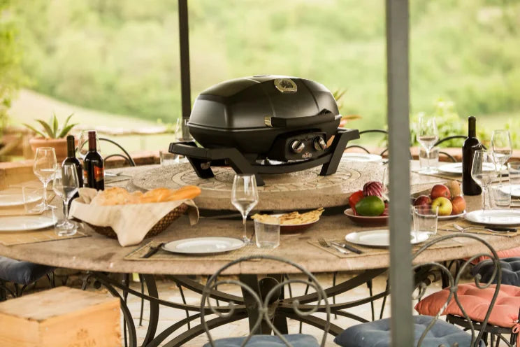 The Napoleon TravelQ Pro285 Portable Gas Grill features sleek all-black design with chrome accents, cast aluminum lid, and stainless steel burners for precise temperature control and 285 sq. in. cooking surface perfect for up to 17 burgers.