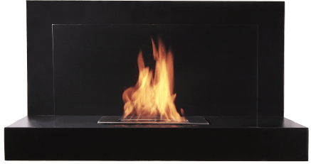 The Bio Flame Lotte 35-inch Black Wall Mounted Ethanol Fireplace